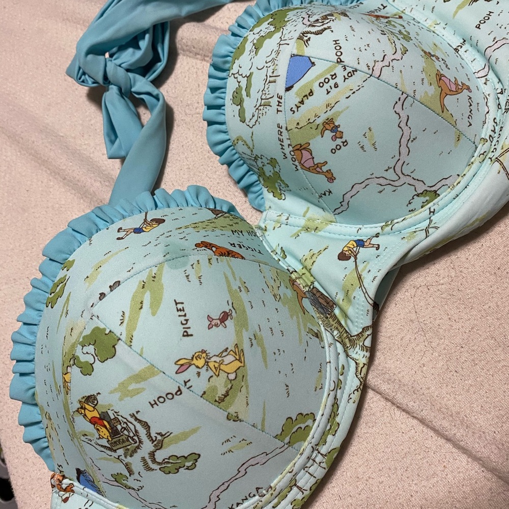 Hot Top Winnie The Pooh sz L bikini swim suit top